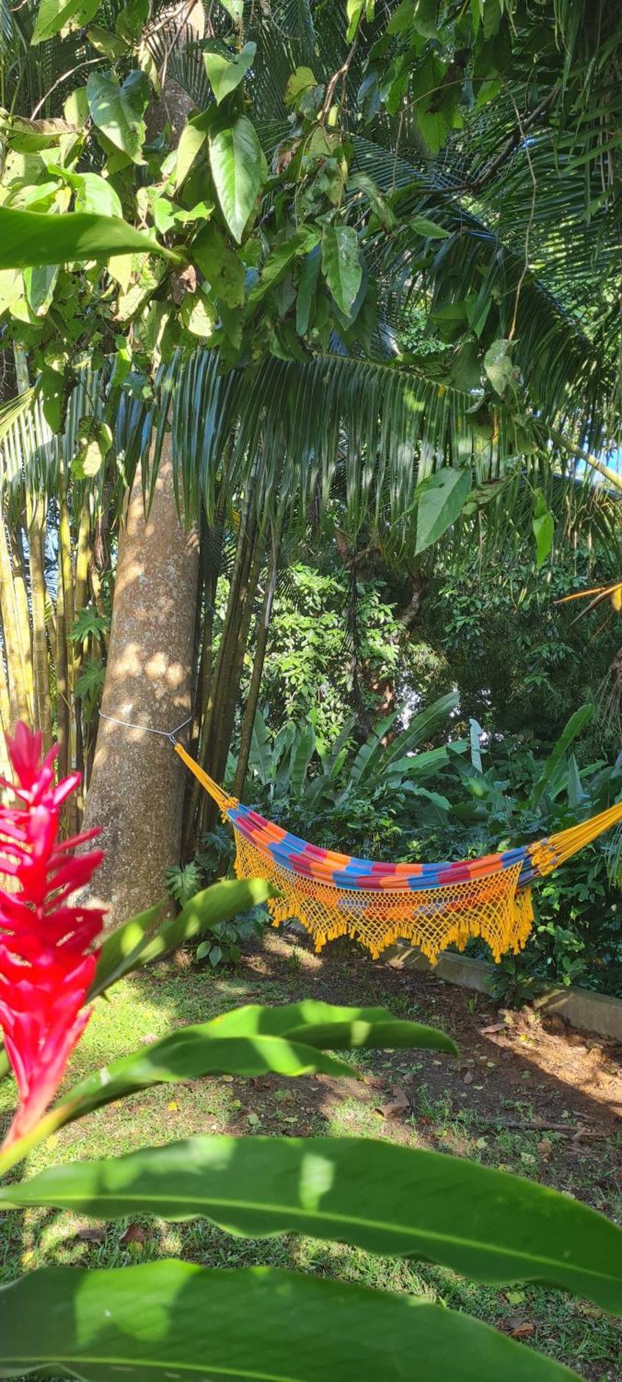 Gite Kaz A Topaze, Piscine, Jardin Tropical سانت-روز المظهر الخارجي الصورة